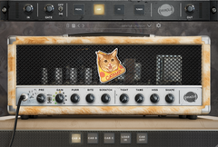 CATAMP