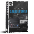 VIC AUDIO SAVAGE POWER TONEX PROFILES