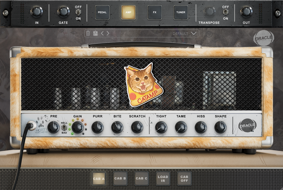 CATAMP v2.5 amp channel 2 panel - Oracle Sound