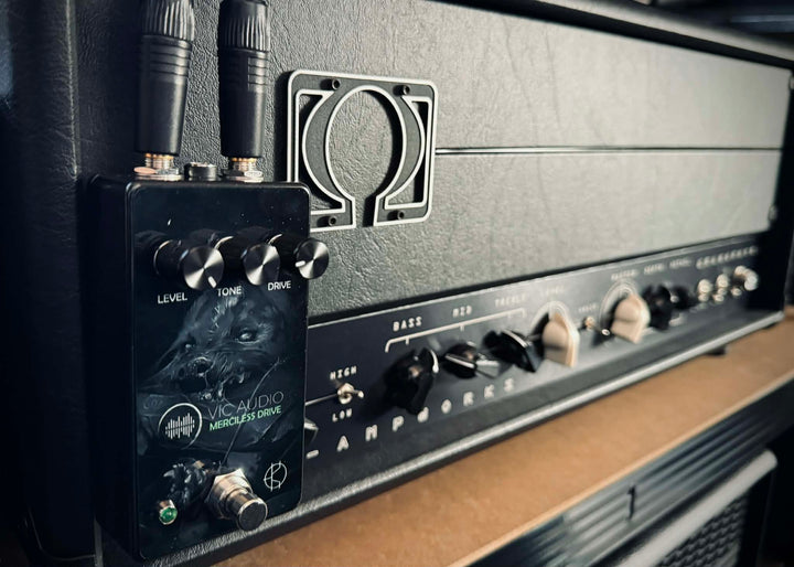 VIC AUDIO MERCY DENIED NAM PROFILES