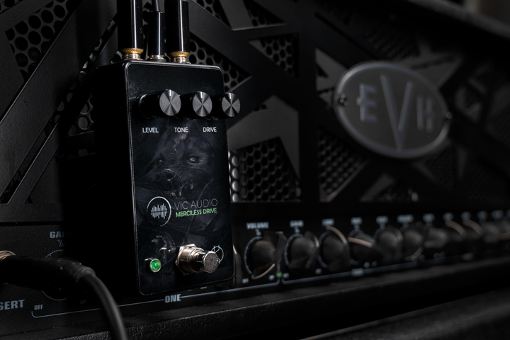 VIC AUDIO METAL GUITAR TONE NAM PROFILES